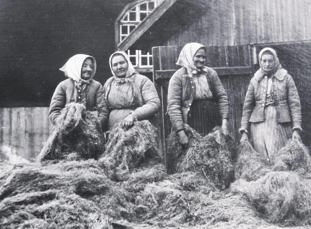 bilden föreställer fyra kvinnor som står vid dkäkten runt omkring dem en massa restprodukter från linberedning.