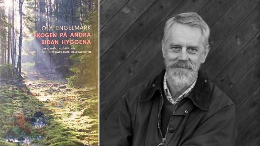Ola Engelmark, skogsekolog och författare