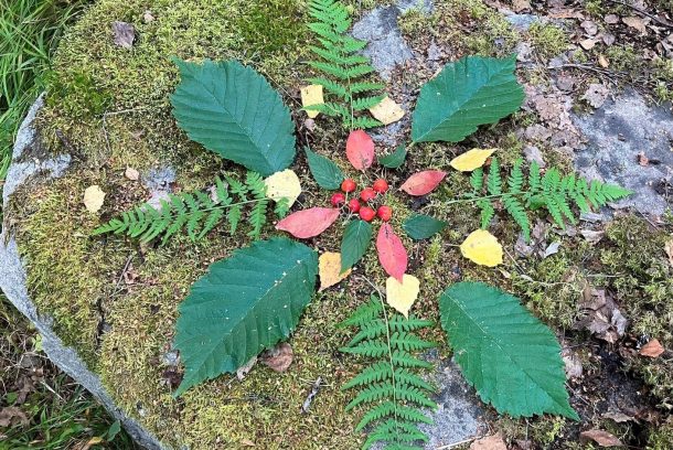 Mandala gjord av olika blad