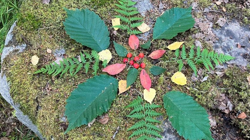 Mandala gjord av olika blad